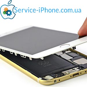 remont-iphone-6.jpg (17.13 Kb)